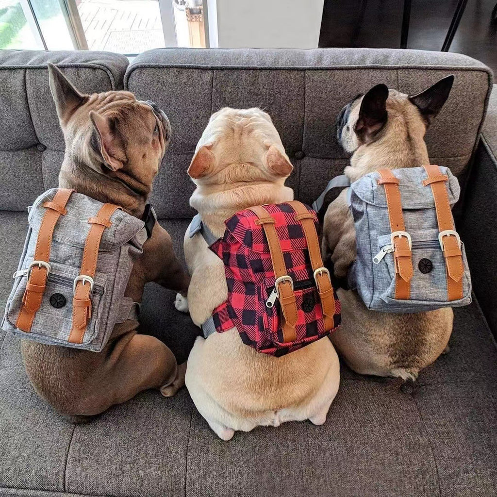 Toca Adventure Pack — Dog Backpack with Straps