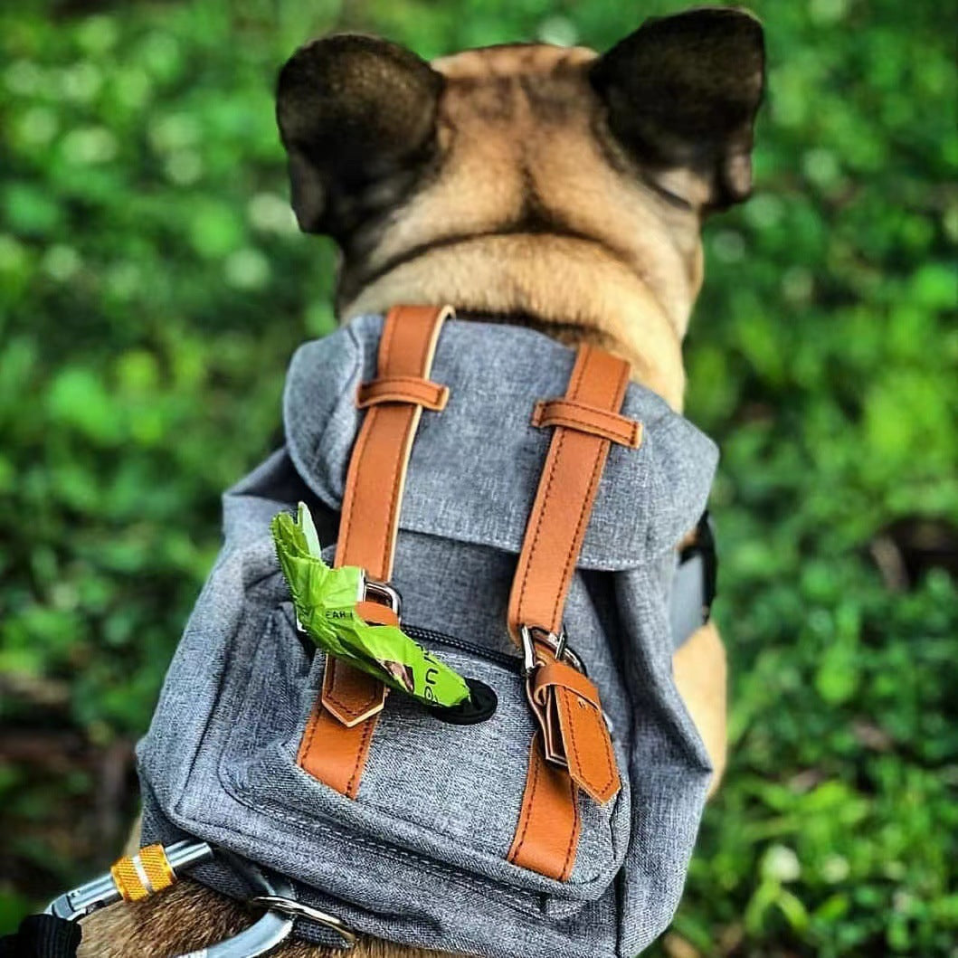 Toca Adventure Pack — Dog Backpack with Straps