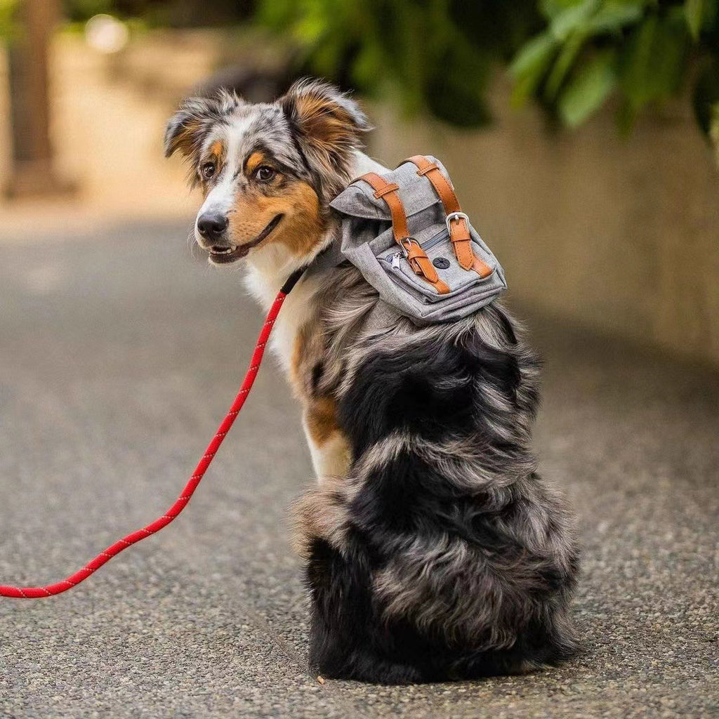 Toca Adventure Pack — Dog Backpack with Straps