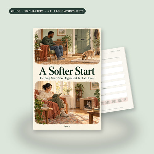 A Softer Start, a TOCA guide: cover and the Welcome Card worksheet