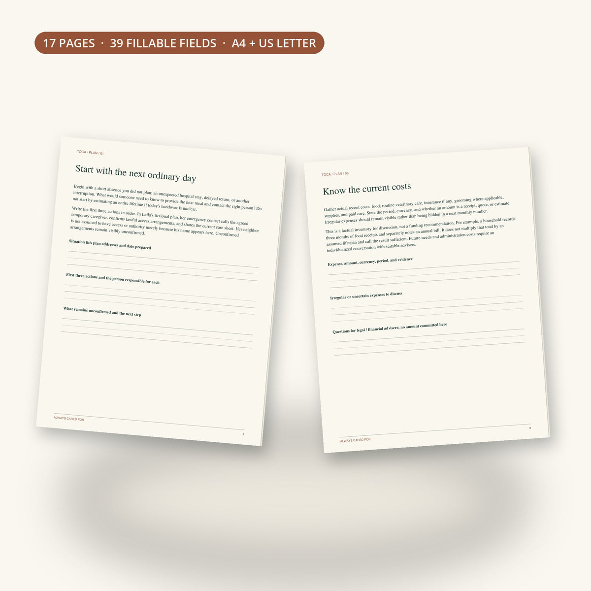 Inside Always Cared For: planning pages for the next ordinary day and current costs