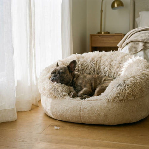 French Bulldog sleeping peacefully in the cream Toca Calming Bed, warm bedroom morning light