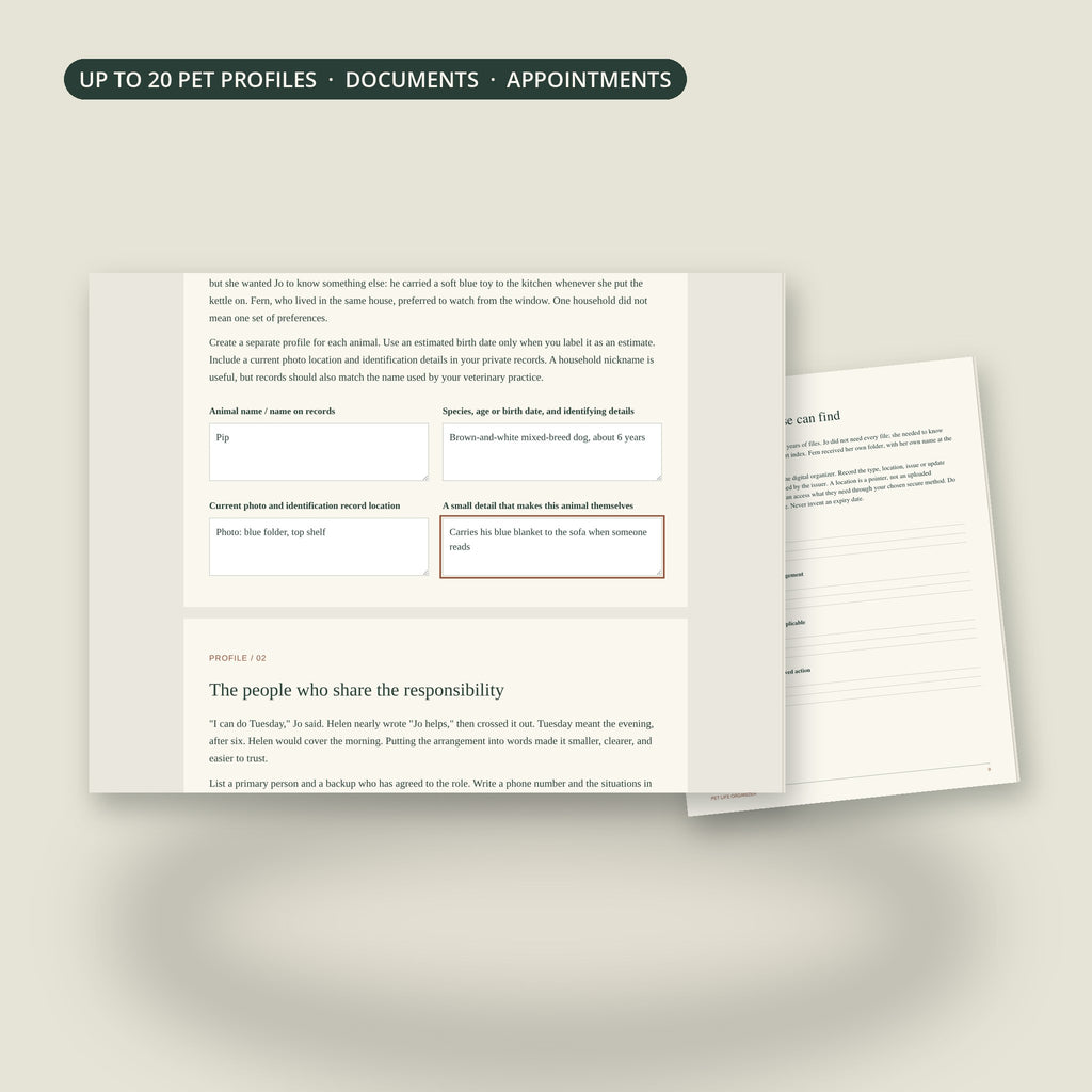 Browser organizer with a fictional example profile