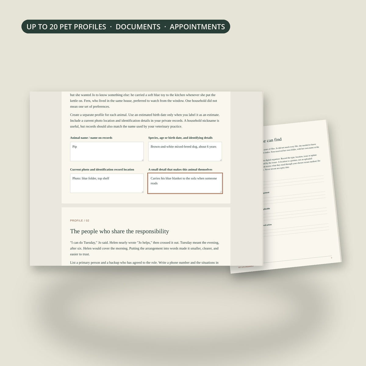 Browser organizer with a fictional example profile