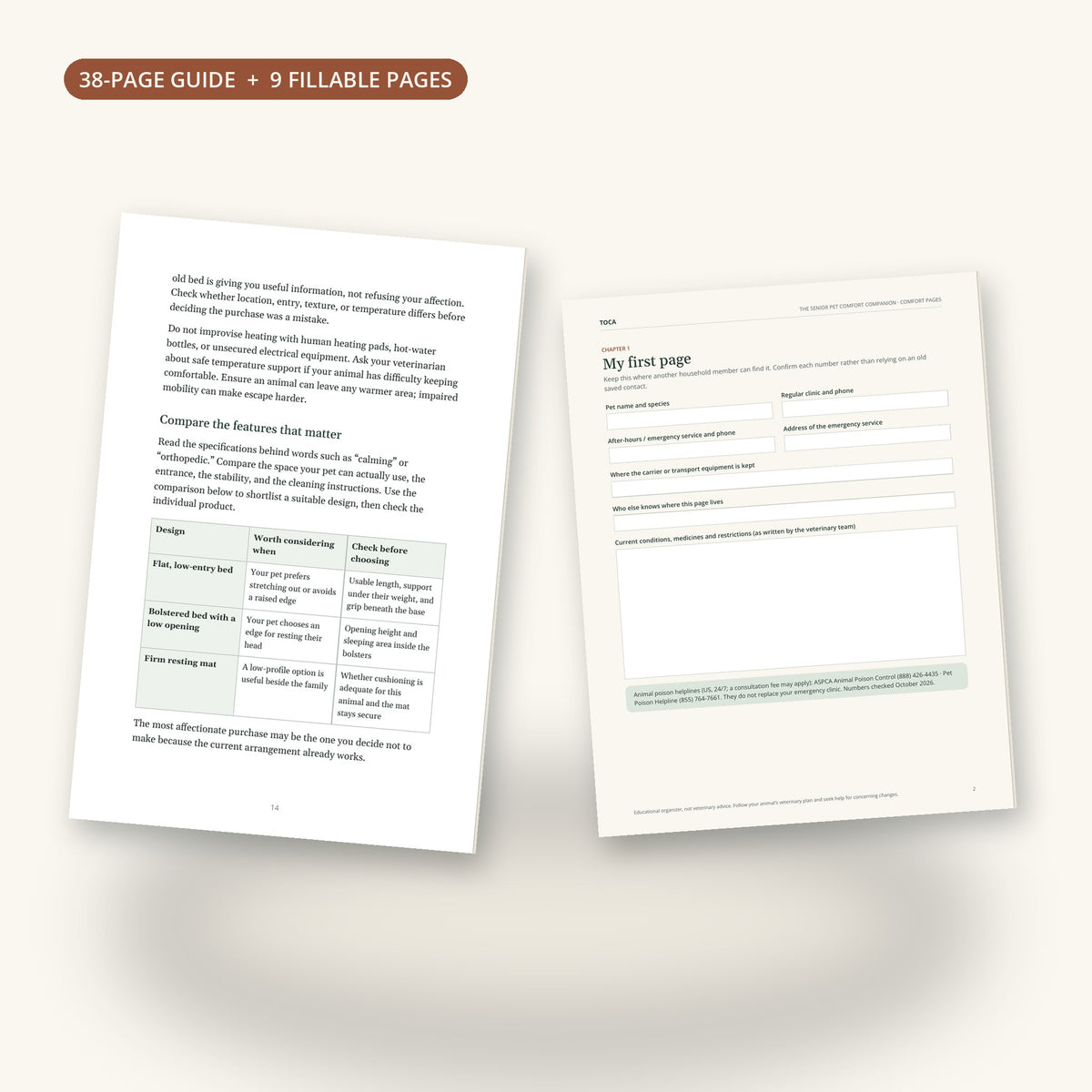 An inside page of the guide and the My first page worksheet