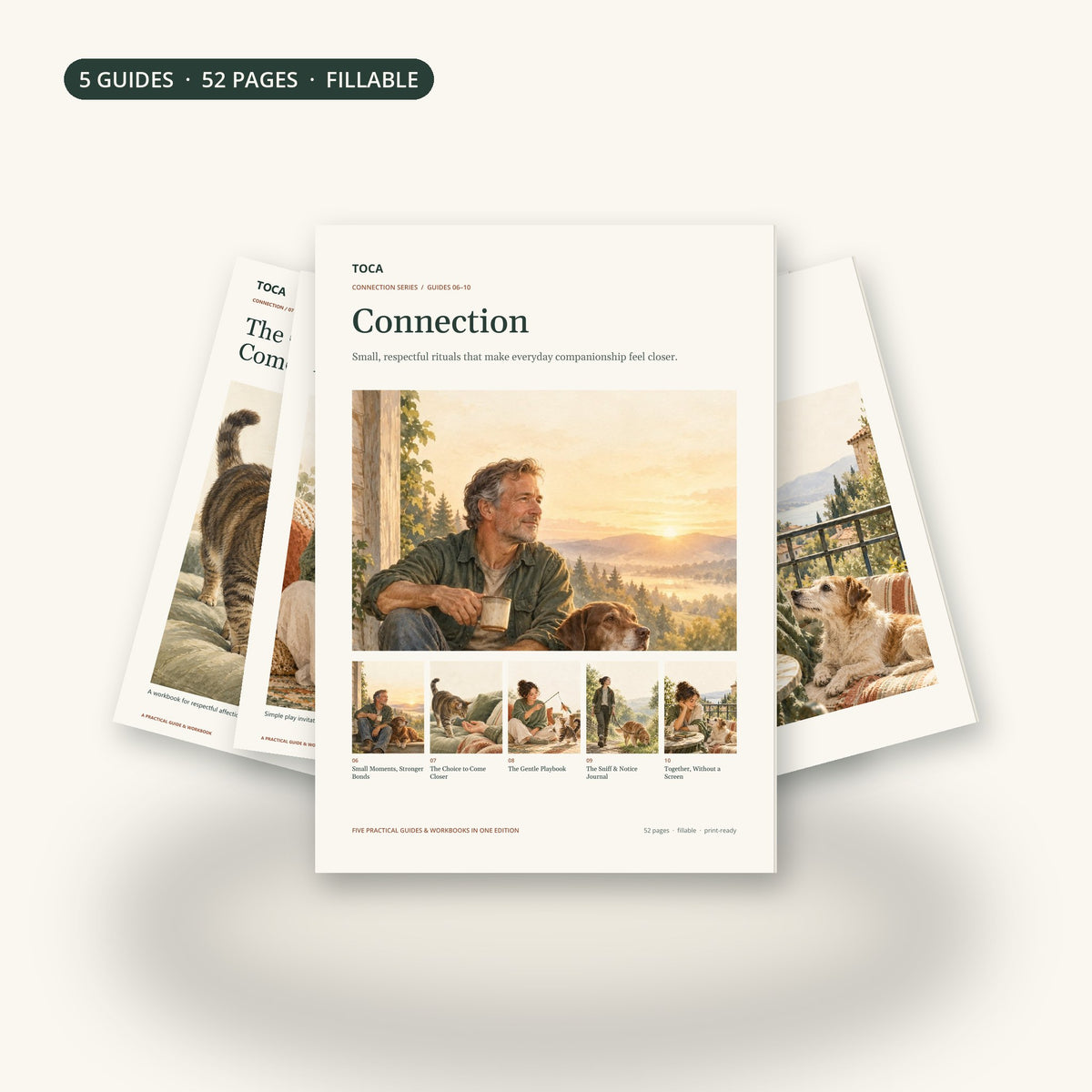 The Connection Series: five TOCA guides in a 52-page bound edition