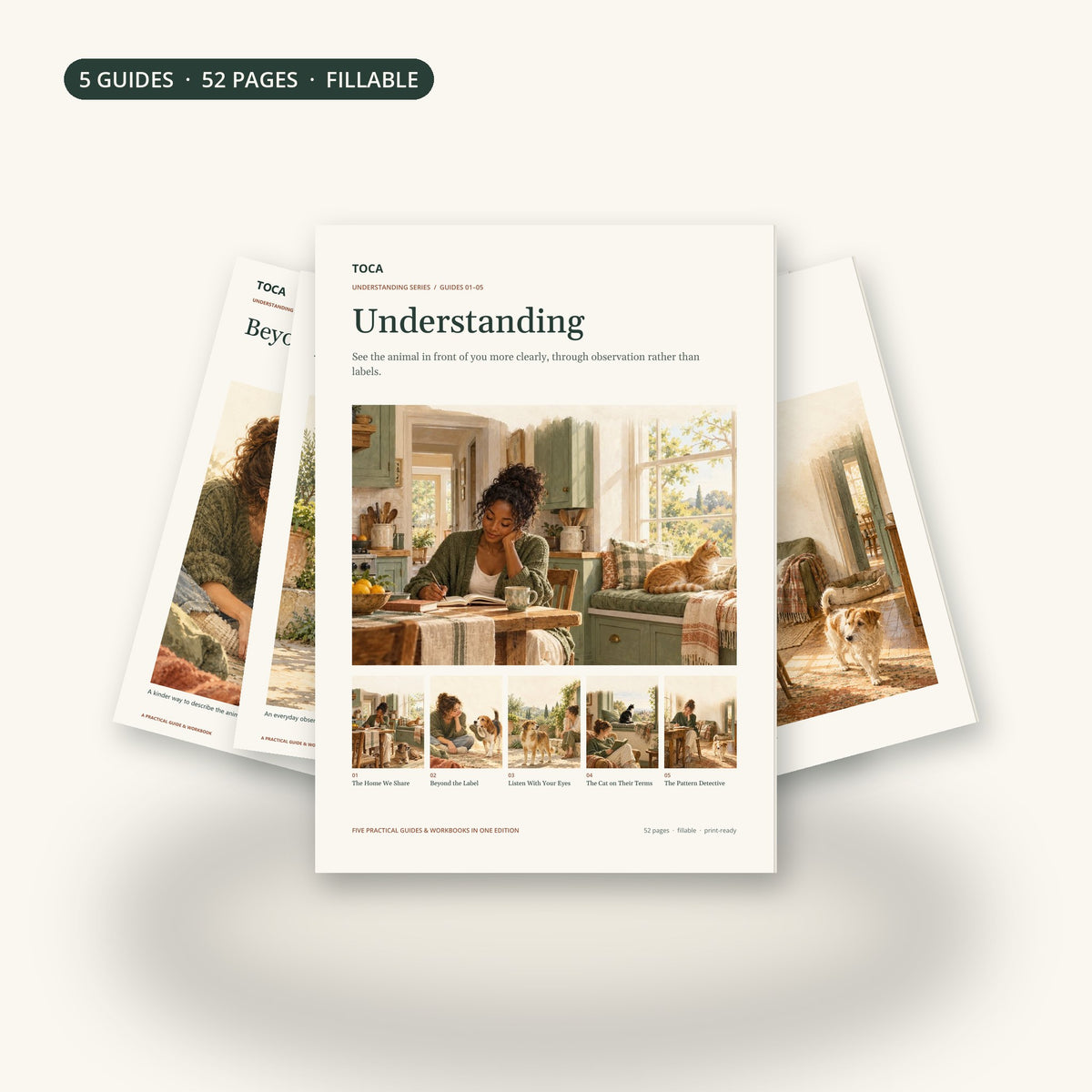 The Understanding Series: five TOCA guides in a 52-page bound edition
