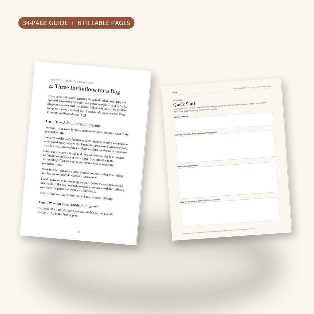 Inside Small Moments, Fuller Days: dog activity cards page and the Quick Start worksheet