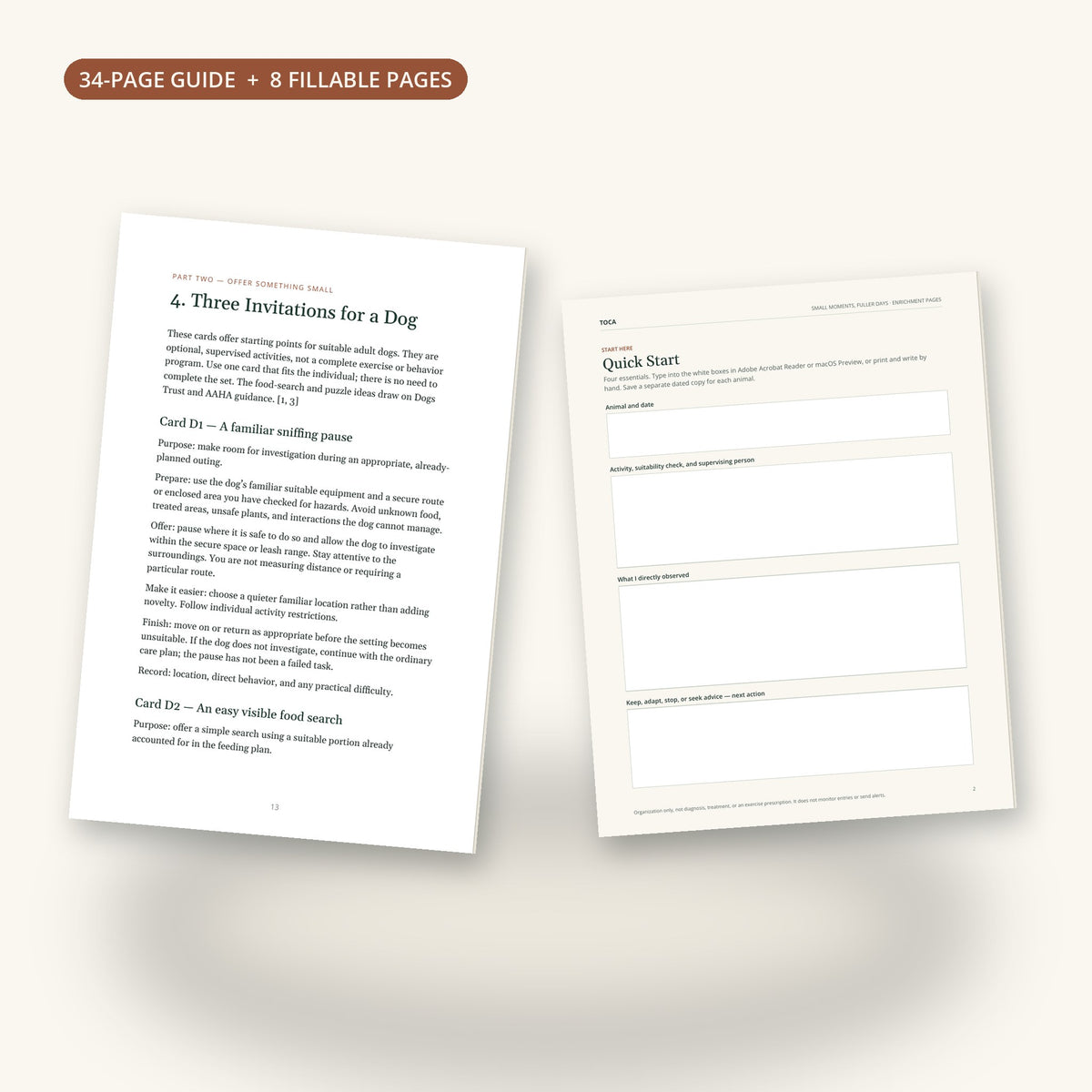 Inside Small Moments, Fuller Days: dog activity cards page and the Quick Start worksheet