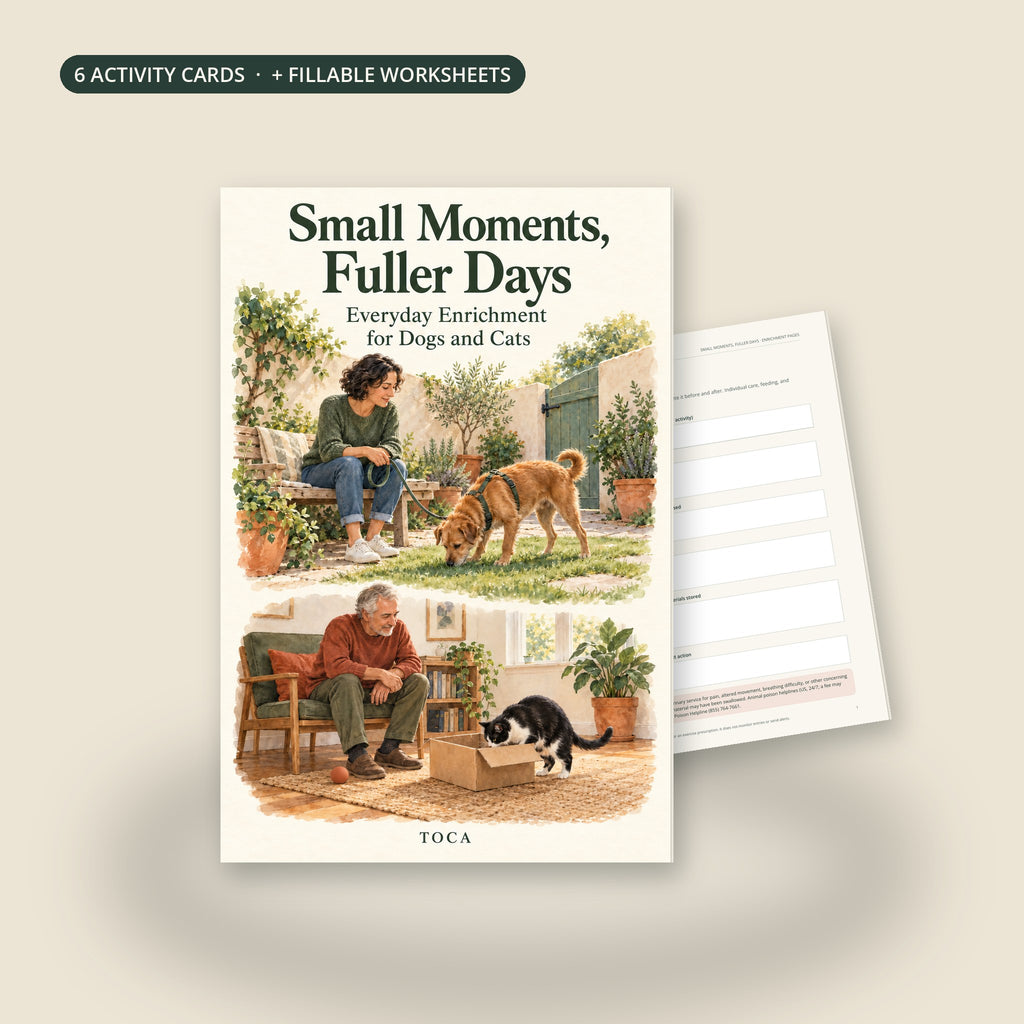 Small Moments, Fuller Days ebook cover with the fillable Activity Card