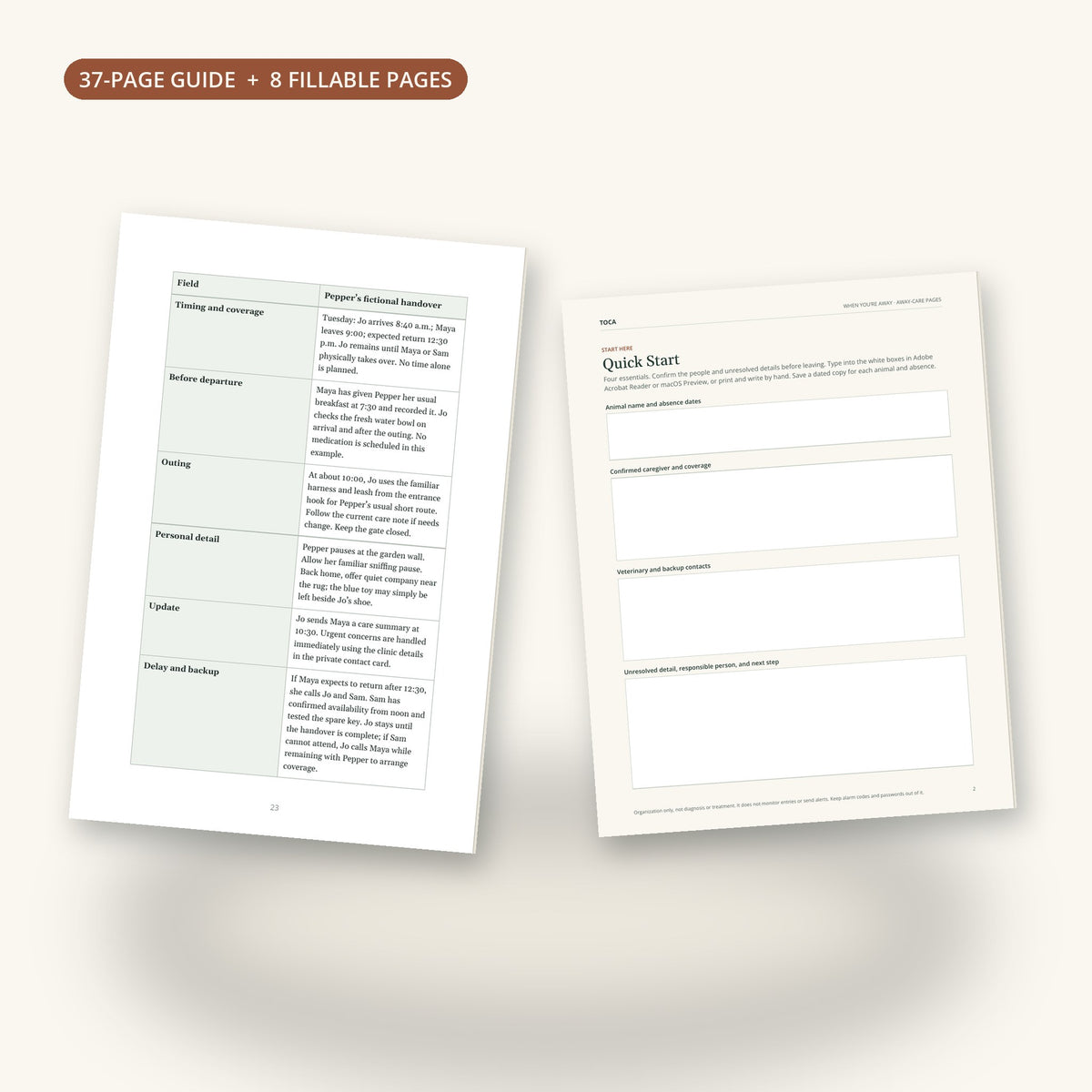 A worked care plan from the guide and the Quick Start worksheet