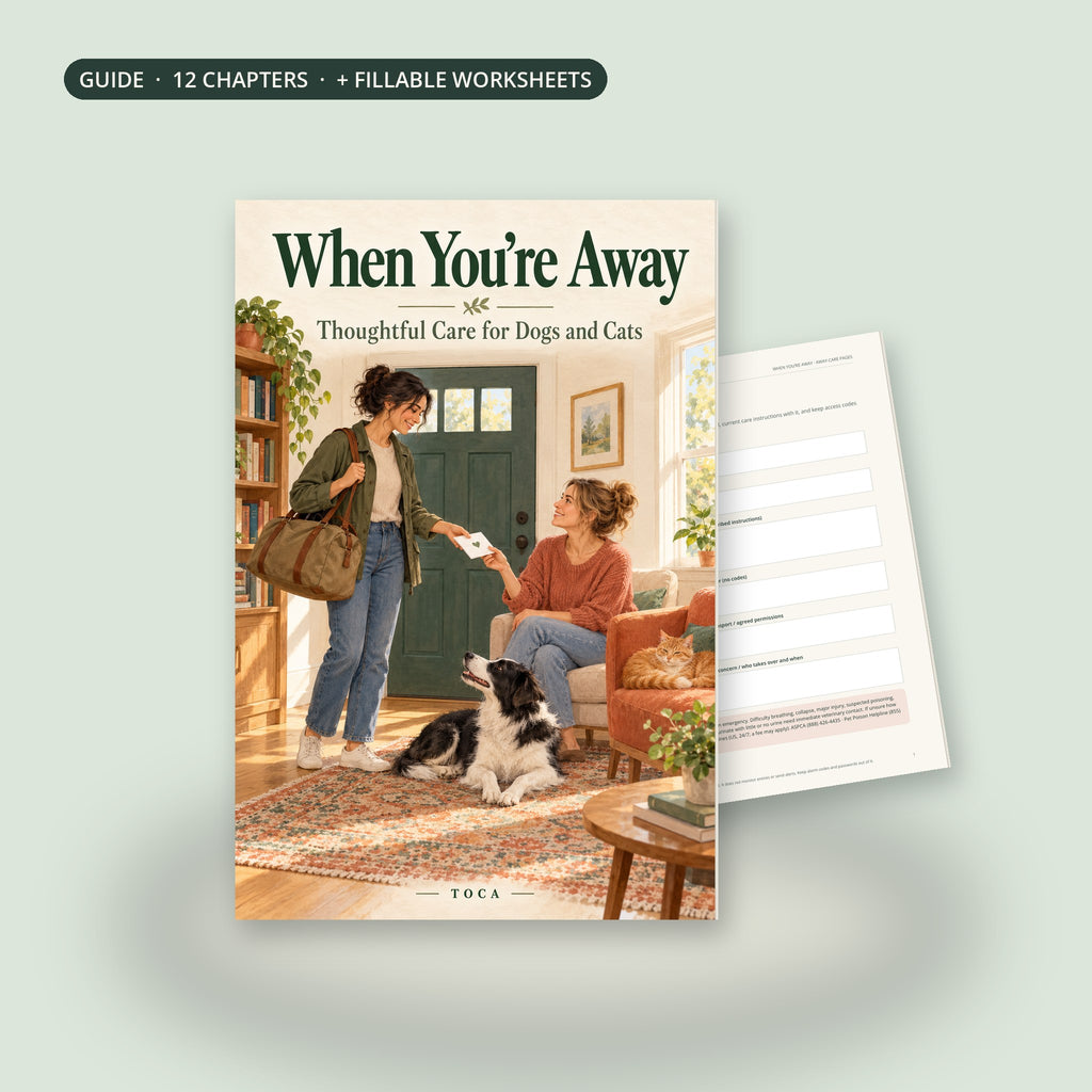 When You’re Away, a TOCA guide: cover and the Caregiver Card worksheet