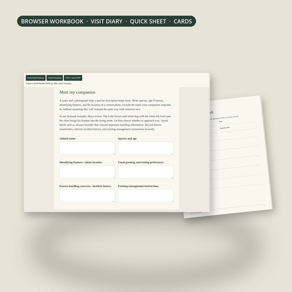 Browser workbook and visit record page