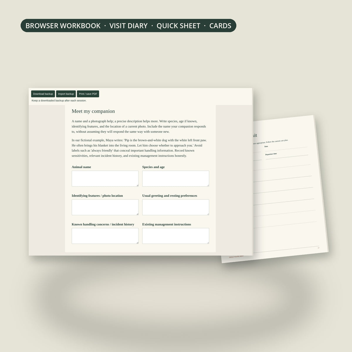 Browser workbook and visit record page