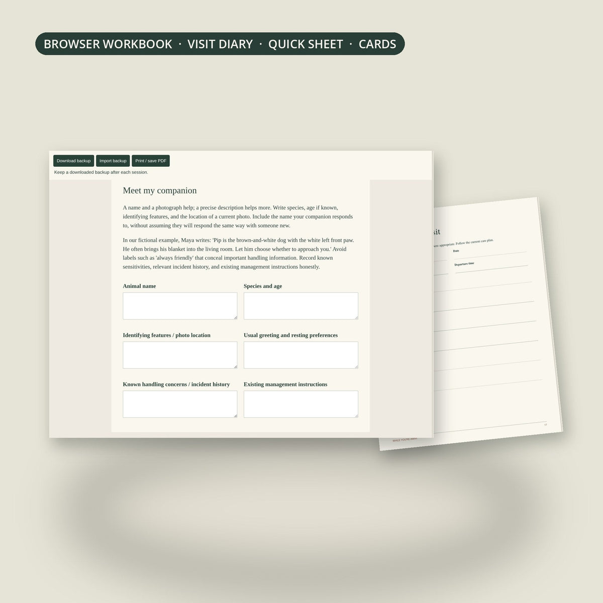 Pet Sitter Kit browser workbook and visit record page